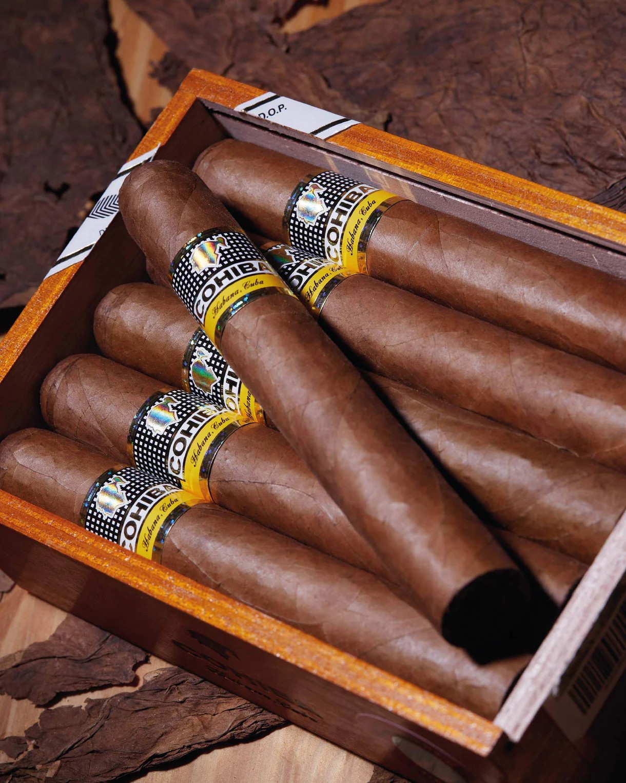 | Cohiba 高希霸| 世纪六号Siglo VI